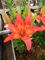 [5024 Matrix No02.JPG]